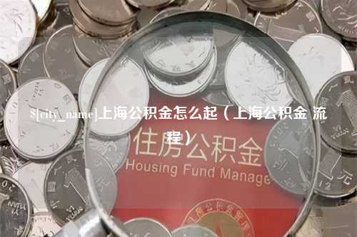 攸县上海公积金怎么起（上海公积金 流程）